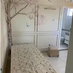 Machu Home Blasdos